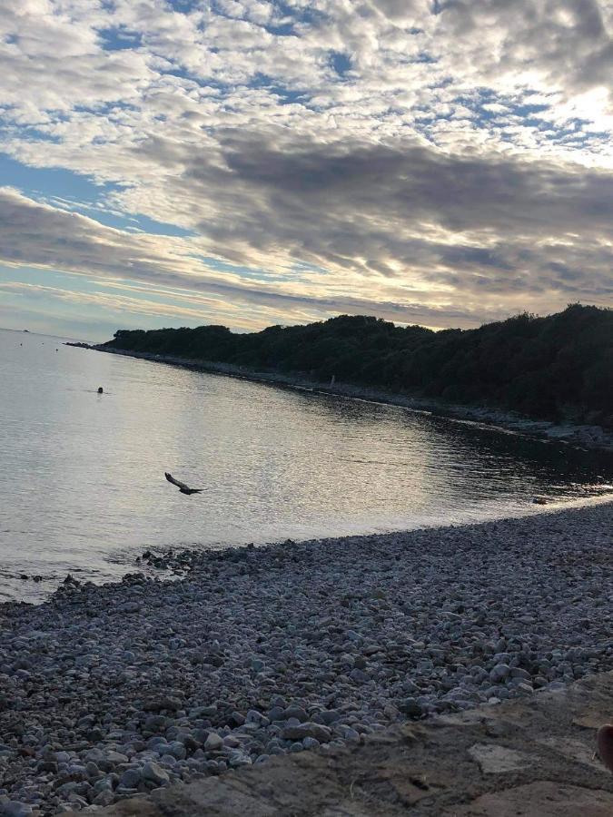 Apartmani Dokic Bale Buitenkant foto